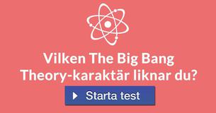 Vilken The Big Bang Theory-karaktär liknar du?