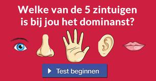 Welke van de 5 zintuigen is bij jou het dominanst?