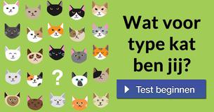 Wat voor type kat ben jij? 