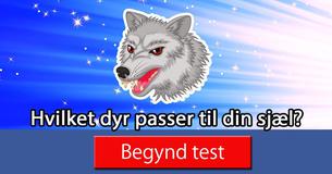 Hvilket dyr passer til din sjæl?