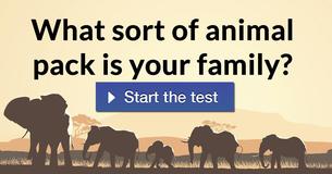 What sort of animal pack is your family?