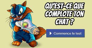 Qu'est-ce que complote ton chat ?