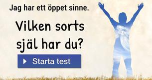 Vilken sorts själ har du?