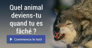 Quel animal deviens-tu quand tu es fâché ?