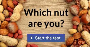 Which nut are you?
