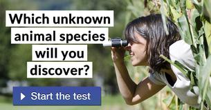 Which unknown animal species will you discover?