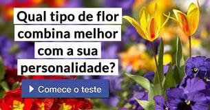 Qual tipo de flor combina melhor com a sua personalidade?