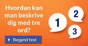 Hvordan kan man beskrive dig med tre ord?