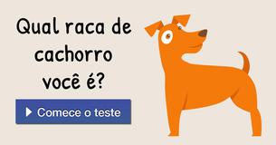 Qual raca de cachorro você é?