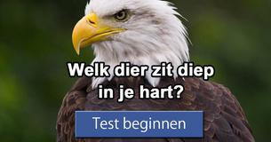 Welk dier zit diep in je hart? 