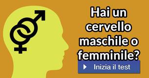 Hai un cervello maschile o femminile?