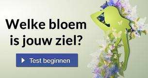 Welke bloem is jouw ziel?