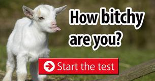 How bitchy are you?