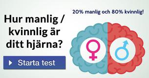 Hur manlig / kvinnlig är ditt hjärna?