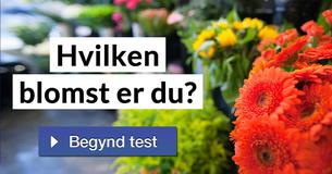 Hvilken blomst er du?