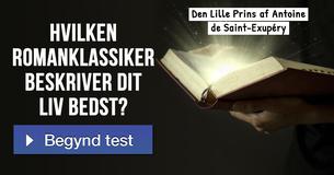 Hvilken romanklassiker beskriver dit liv bedst?