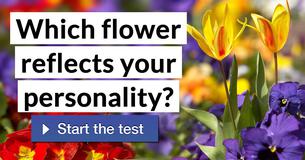 Which flower reflects your personality?