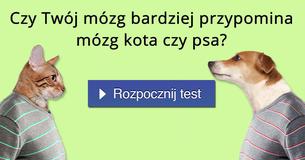 Czy Twój mózg bardziej przypomina mózg kota czy psa?