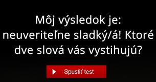 Ktoré dve slová vás vystihujú?