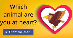Which animal are you at heart?
