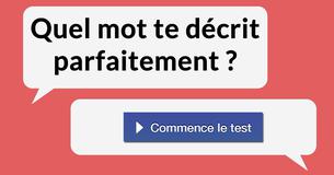Quel mot te décrit parfaitement ?