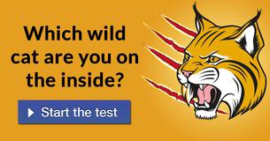 Which wild cat are you on the inside?