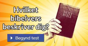 Hvilket bibelvers beskriver dig?