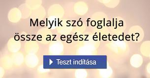 Melyik szó foglalja össze az egész életedet? 