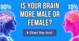 Is your brain more male or female?