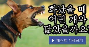 화났을 때 어떤 개와 닮았을까요?