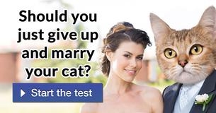 Should You Just Give Up And Marry Your Cat?