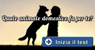 Quale animale domestico fa per te?