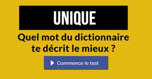 Quel mot du dictionnaire te décrit le mieux ?