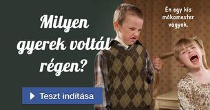 Milyen gyerek voltál régen? 