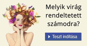 Melyik virág rendeltetett számodra?