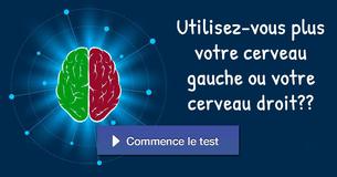 Utilisez-vous plus votre cerveau gauche ou votre cerveau droit ?