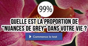 Quelle est la proportion de "Nuances de Grey" dans votre vie ?