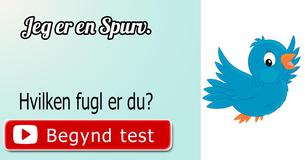 Hvilken fugl er du?