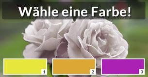 Welche Blume bist Du?