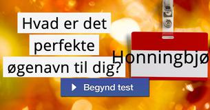 Hvad er det perfekte øgenavn til dig?