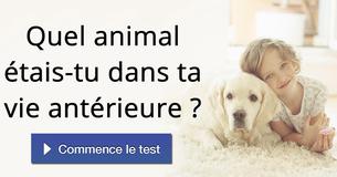 Quel animal étais-tu dans ta vie antérieure ?
