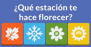 ¿Cuál es tu vocación?