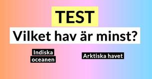 Jag fick bara 9 av 10 poäng Trivia-test allmänbildning