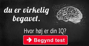 Hvor høj er din IQ?
