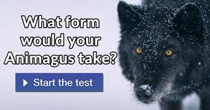 What Form Would Your Animagus Take?
