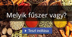 Melyik fűszer vagy?