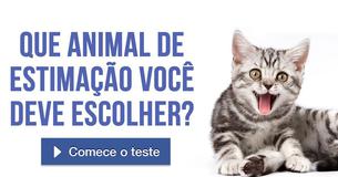 Que animal de estimação você deve escolher?