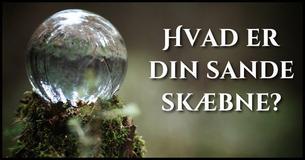Hvad er dit sande kald?