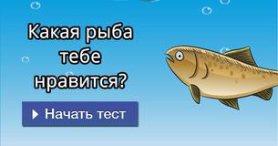 Какая рыба тебе нравится?