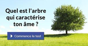 Quel est l'arbre qui caractérise ton âme ?